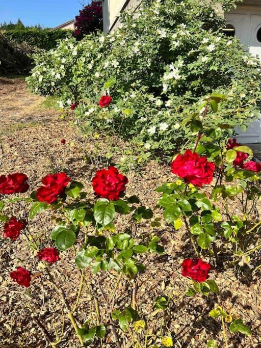 Saint-Sulpice-les-Feuilles Gite De La Petite Fourmy מראה חיצוני תמונה